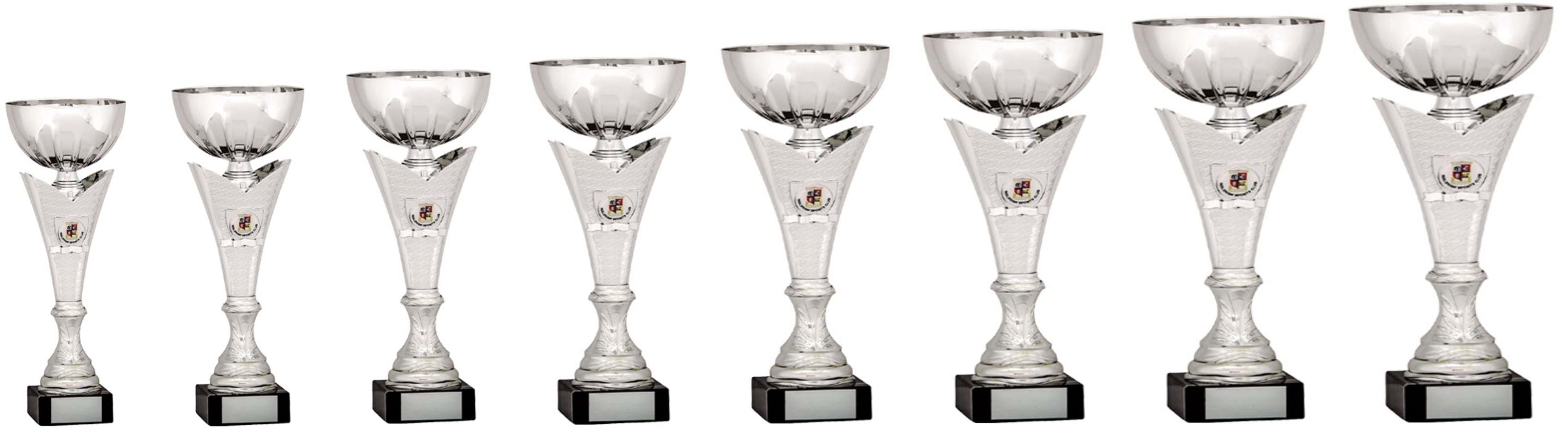 Silver Cup Trophy 1917 Series